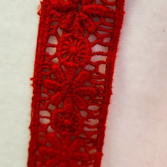 ANTHROPOLOGIE Soigne Red Eyelet Lace Sleeveless Cropped Top Bohemian Summer - Picture 7 of 12